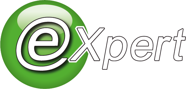 Logo eXpert Konkurs
